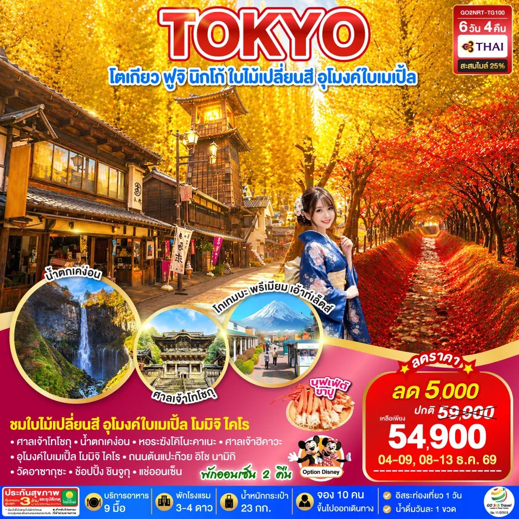 ทัวร์ญี่ปุ่น TOKYO FUJI NIKKO MOMIJI AUTUMN 6วัน 4คืน (TG)