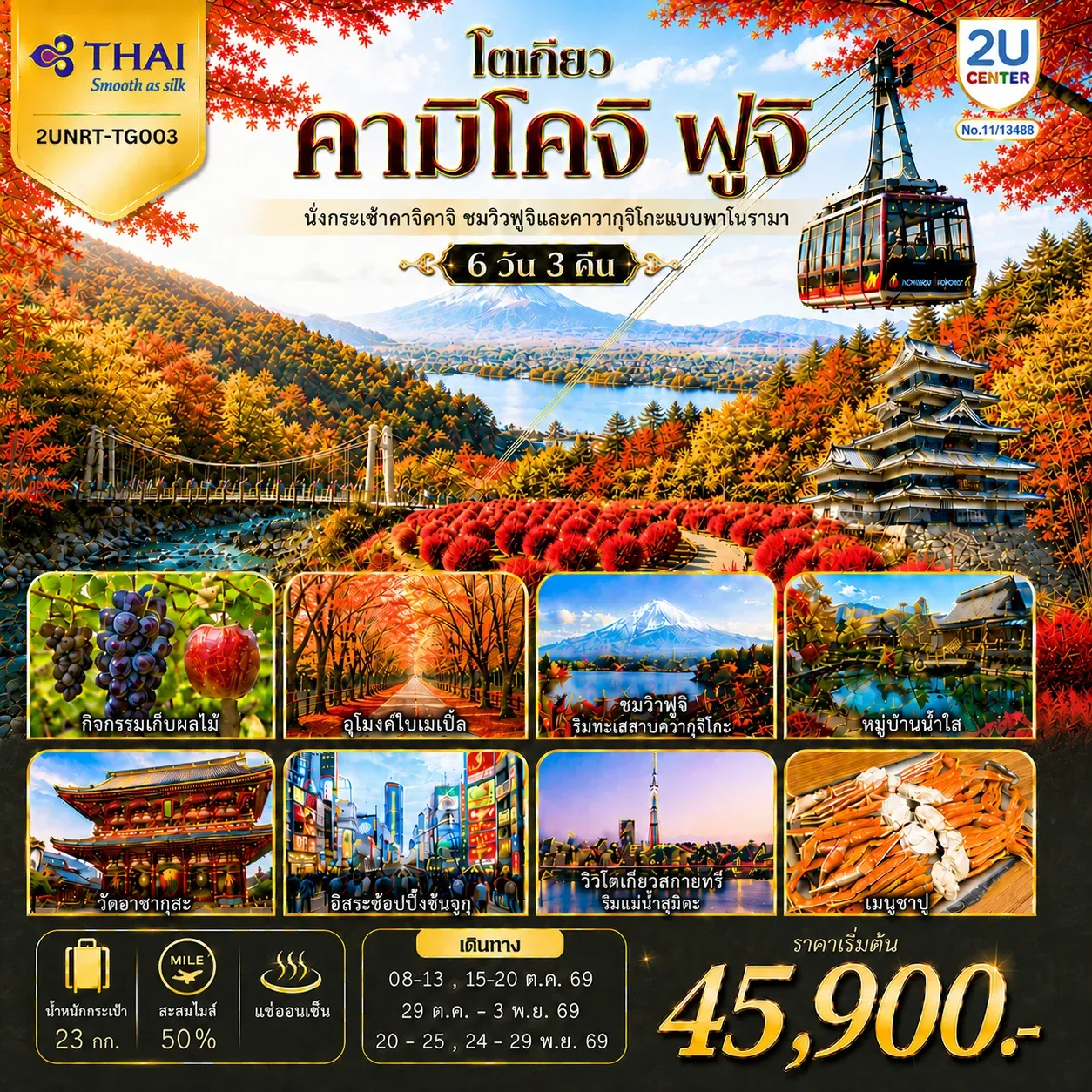 ทัวร์ญี่ปุ่น โตเกียว คามิโคจิ ฟูจิ นั่งกระเช้าคาจิคาจิ AUTUMN FULL BLOOM 6วัน 3คืน (TG)