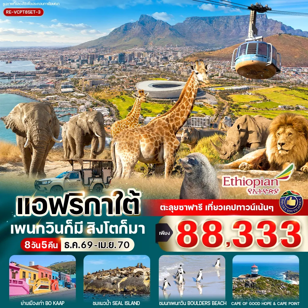 ทัวร์แอฟริกาใต้ แพนกวินก็มี สิงโตก็มา 8วัน 5คืน (ET)